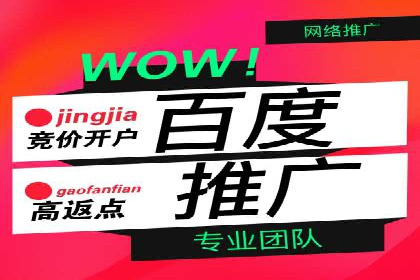 SEM广告投放案例分享：品牌增长秘诀